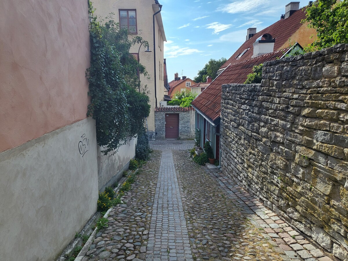 Stor lgh med egna uteplatser i Visby innerstad.