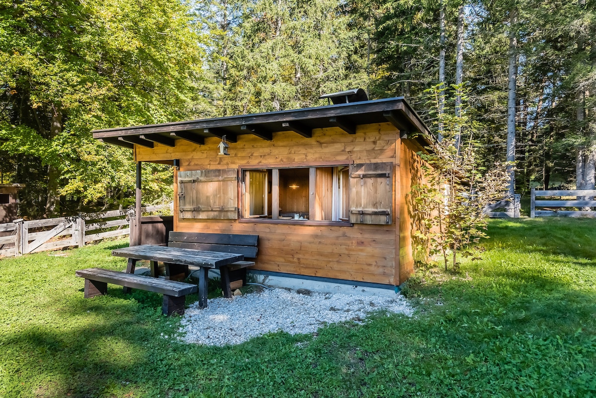 在越野滑雪道上的森林中舒适的小型高山小屋