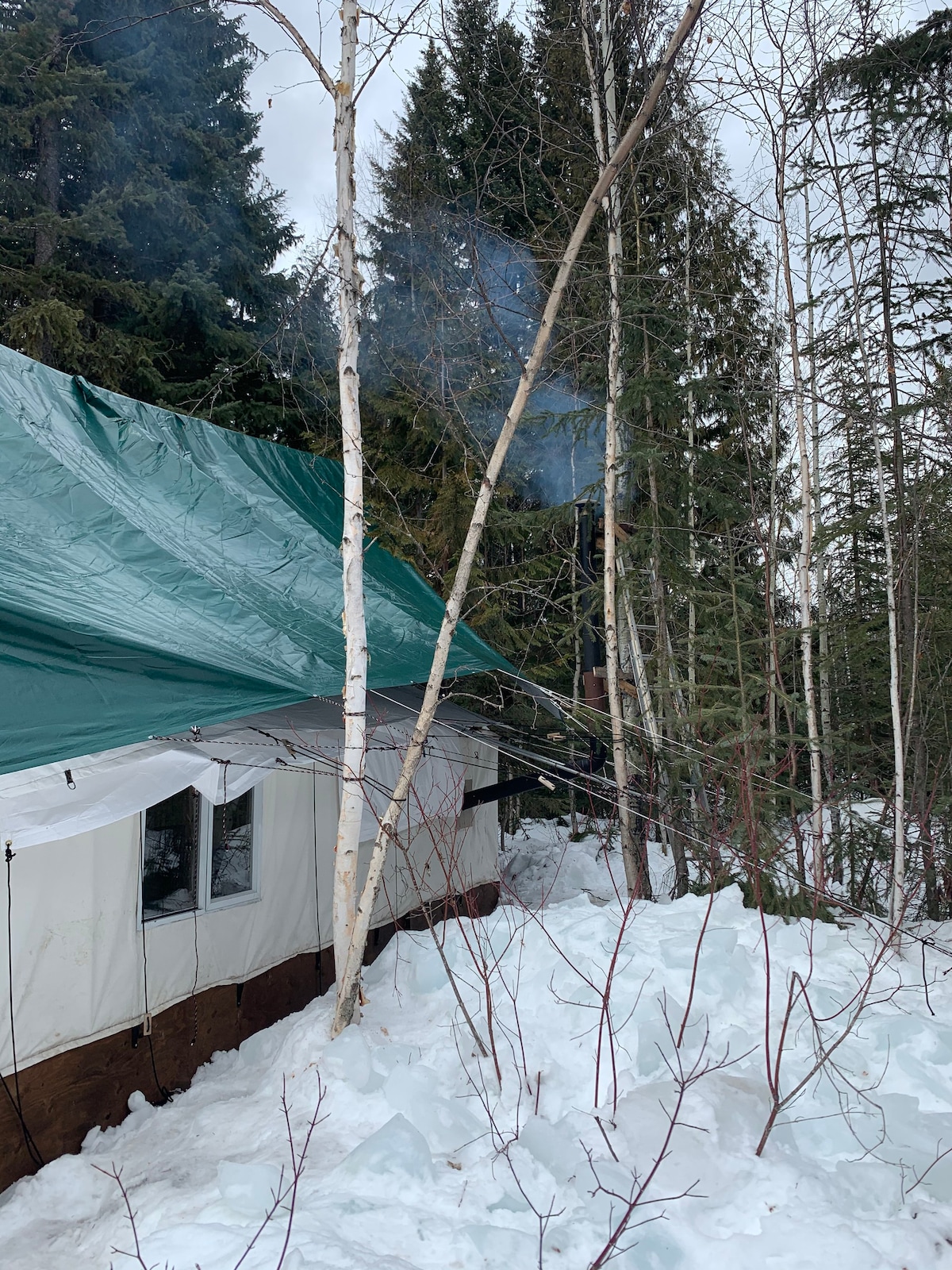 帆布小屋的金色美景