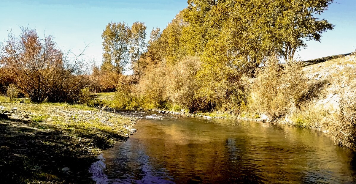 Malachite River Ranch