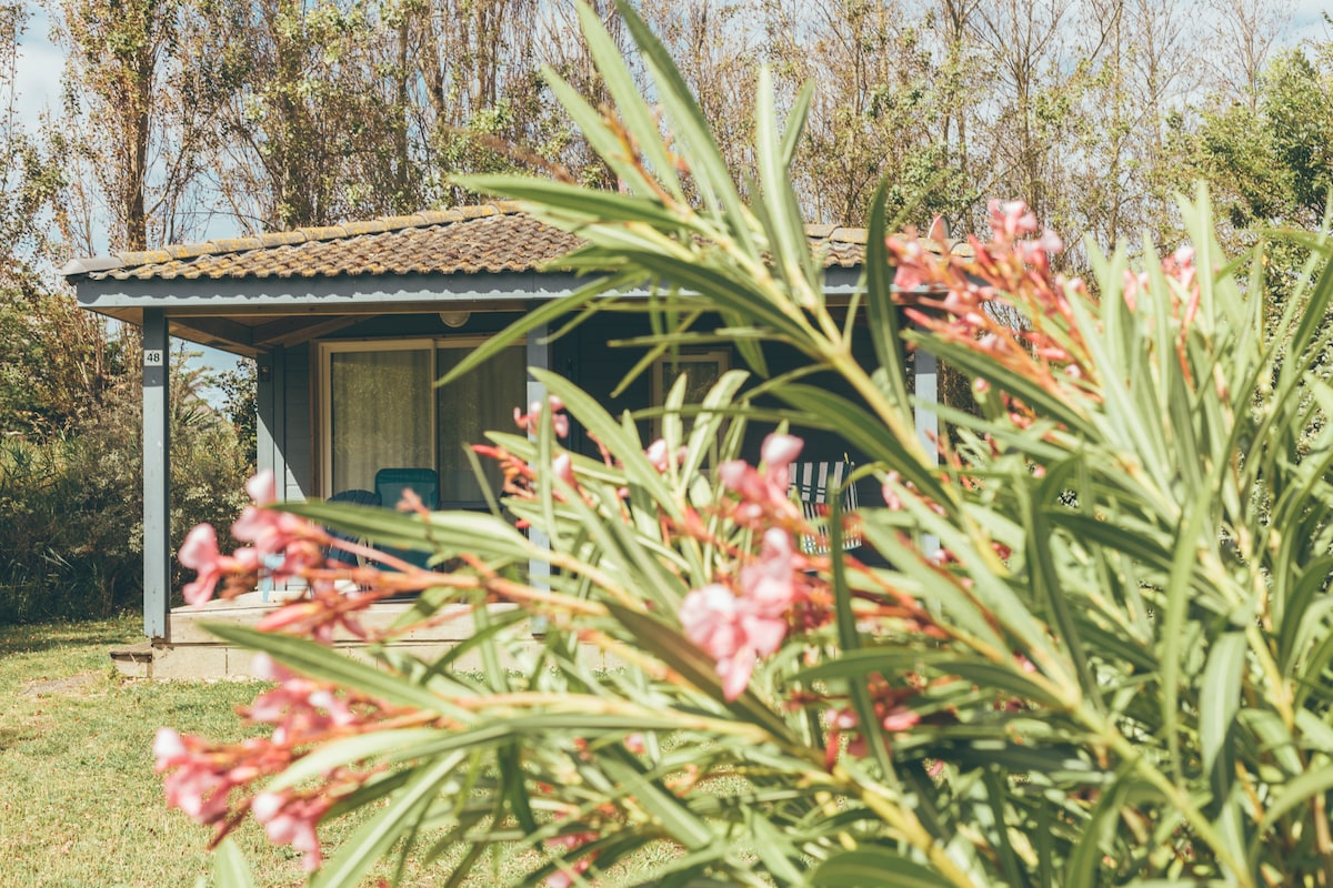 Chalet 6 people with covered pool on Oleron Island