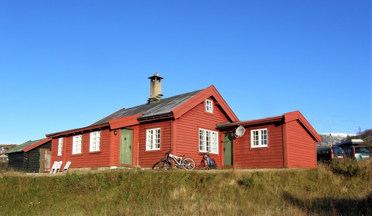 小木屋-由Thor Heyerdahl Sr.重建， 200 YO