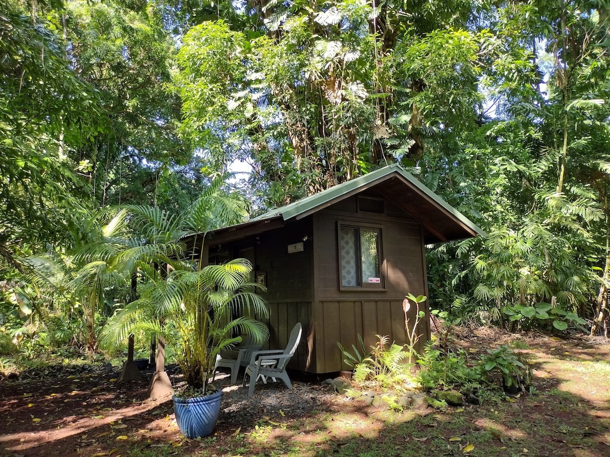 *Private* Jungle Cabin in a Protected Mango Grove