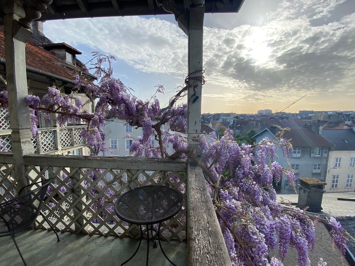 建筑师的公寓，可欣赏到城堡和比利牛斯山脉的美景