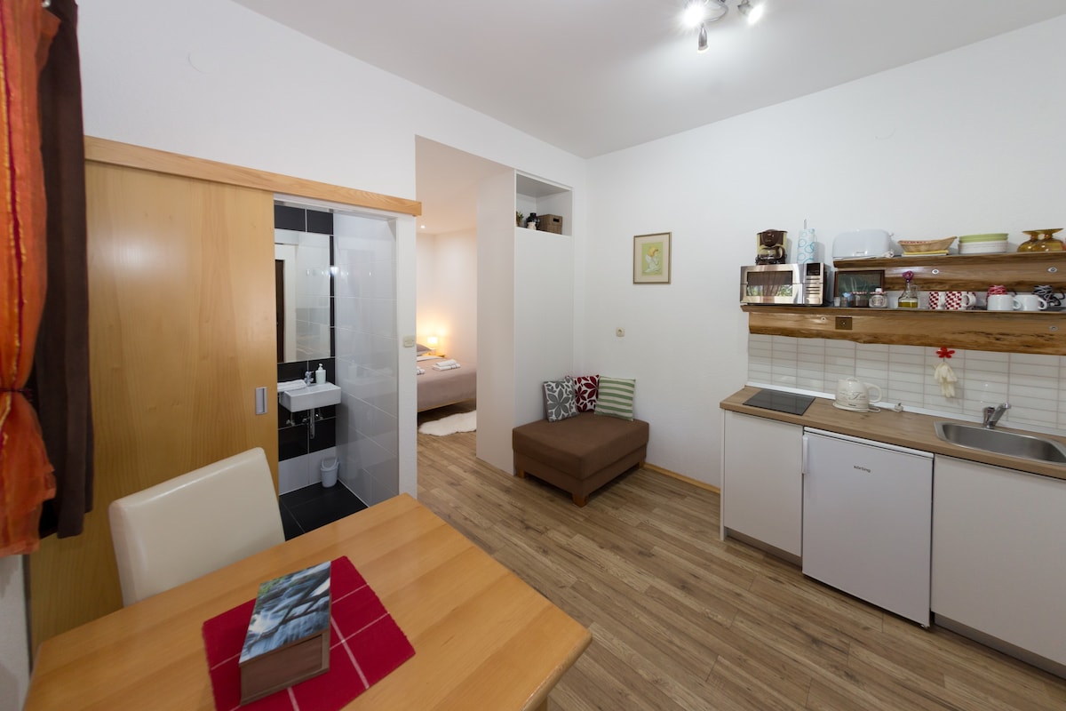 Plitvice Lacus单间公寓，可供2人入住，位于Korenica市中心
