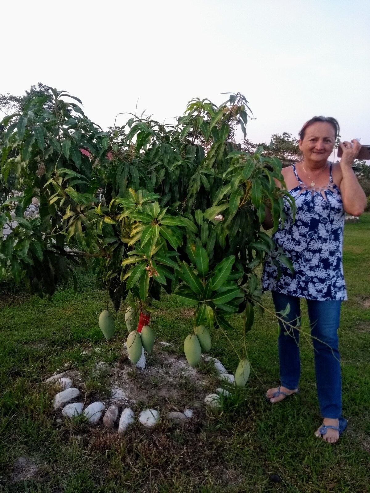 Finca Mata'e Palo, Saravena Arauca