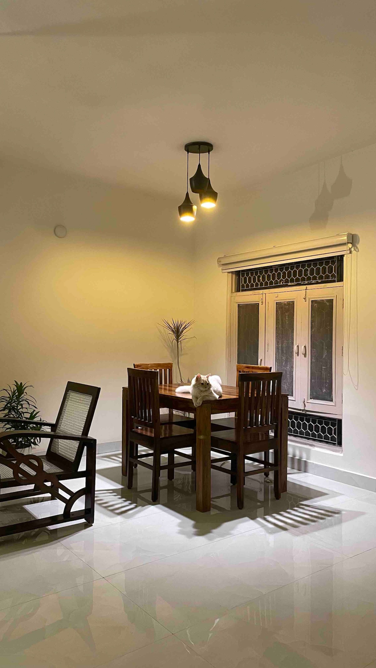O-Studio: Entire 1BHK with a private terrace
