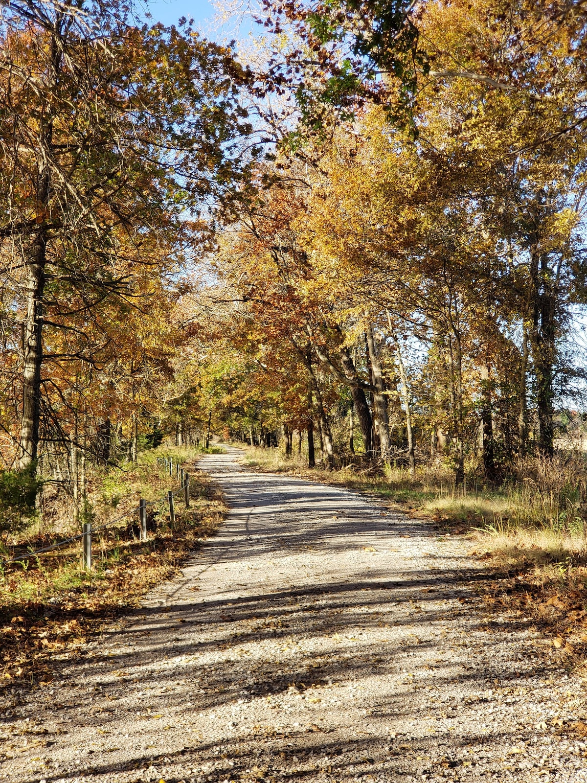 Honey Creek Hideaway at Back Country Camp