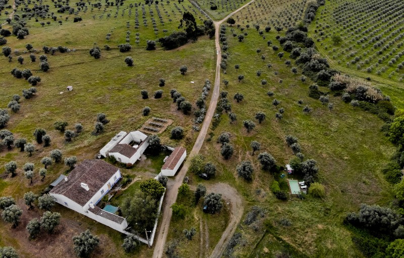 Olive Grove的Farm House