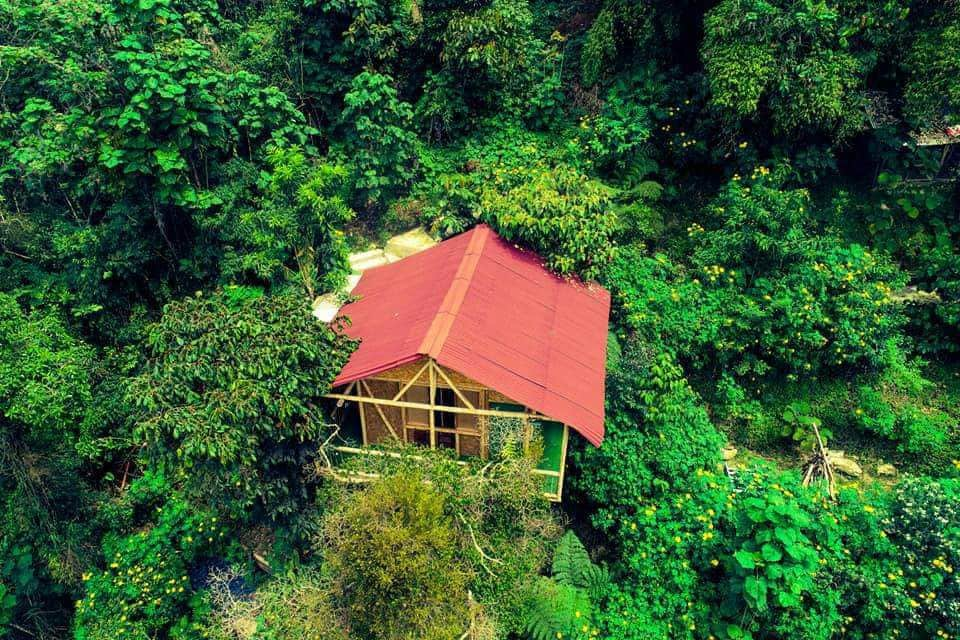 Encantadora casa en el árbol, date la oportunidad!