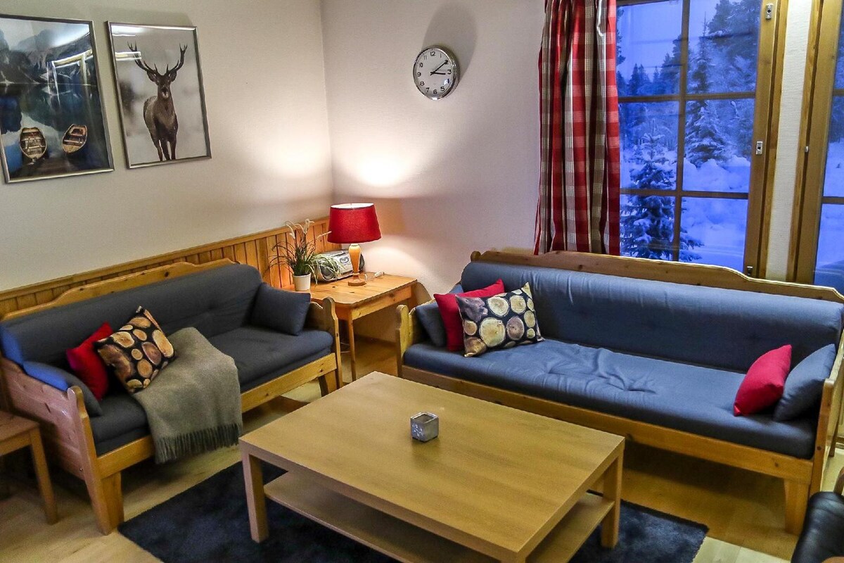 Saariselkä - Rentun Maja带桑拿房的公寓