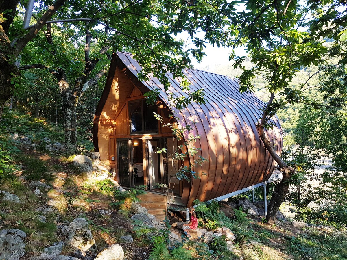 不寻常的栗子小木屋