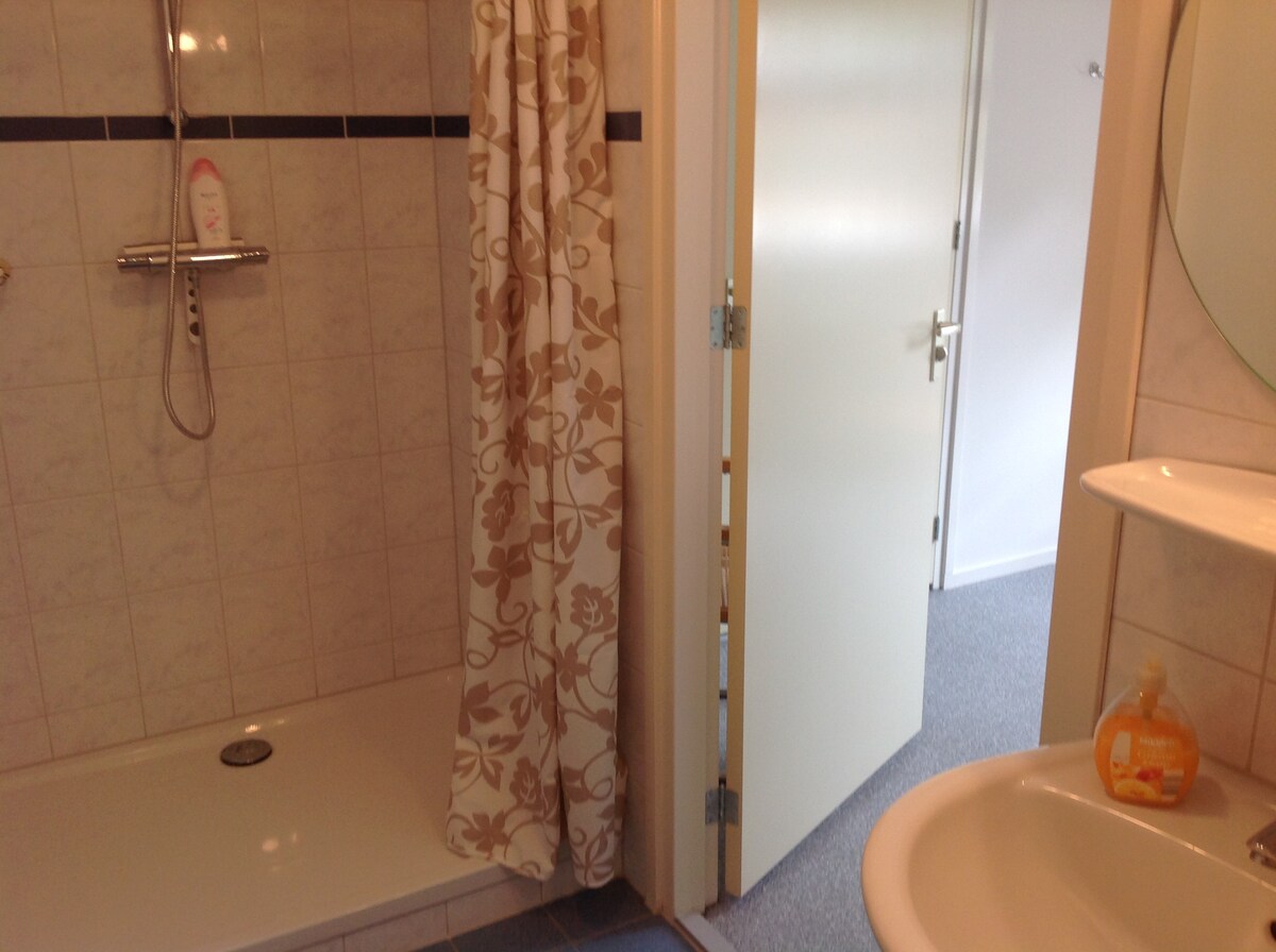 Lits Jumeaux ，私人淋浴间和卫生间。豪华