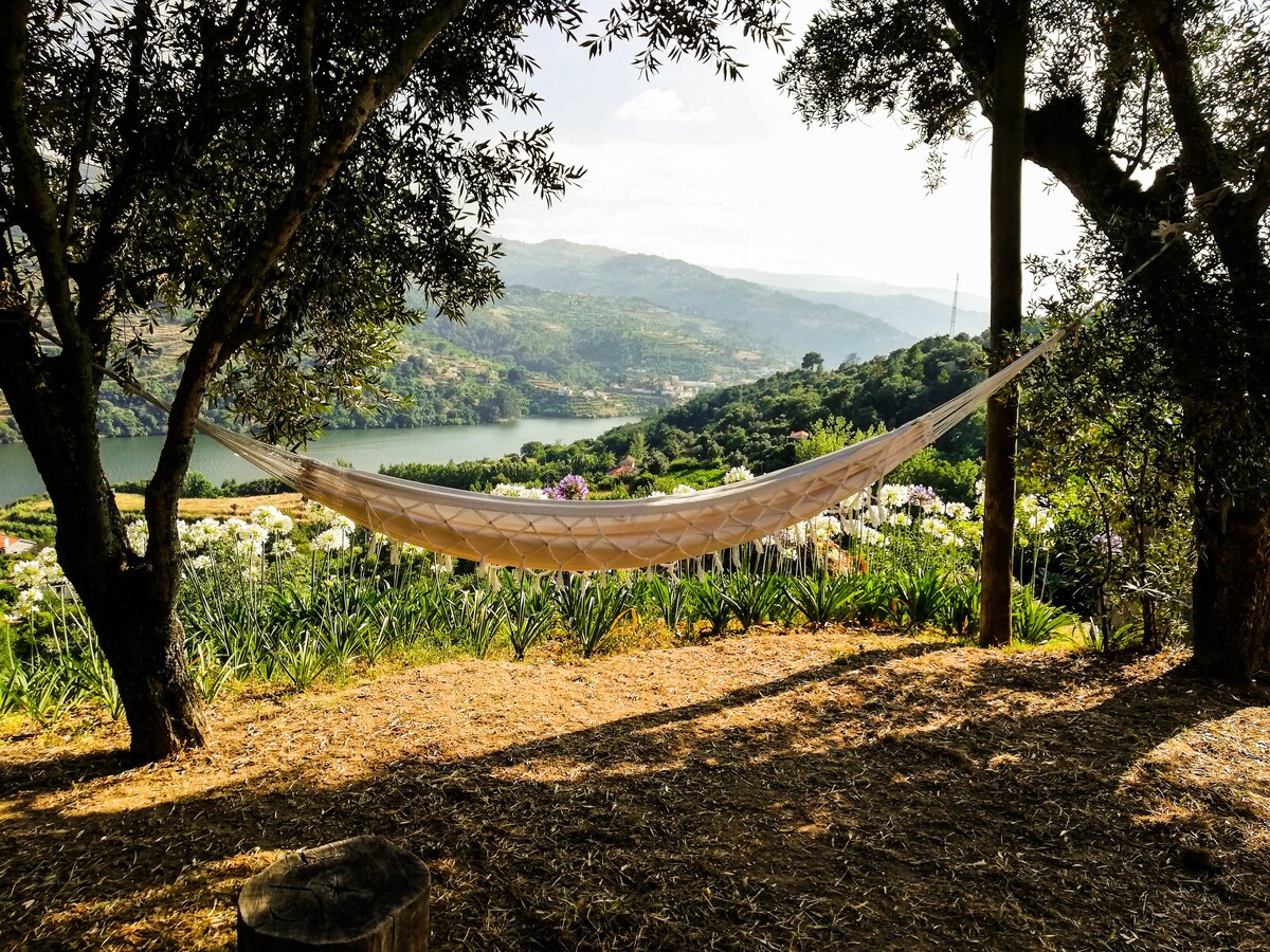 Casa da Mouta - Douro Valley