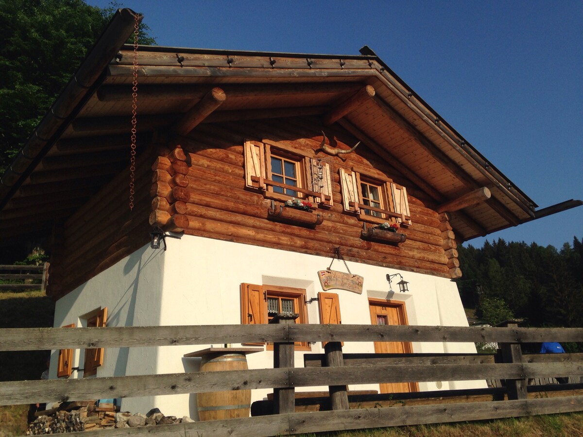 Cabin of Nonno dei Pitoi Trentino022011-AT-050899