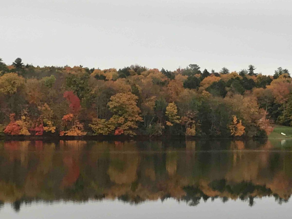 Lake view and private lake area