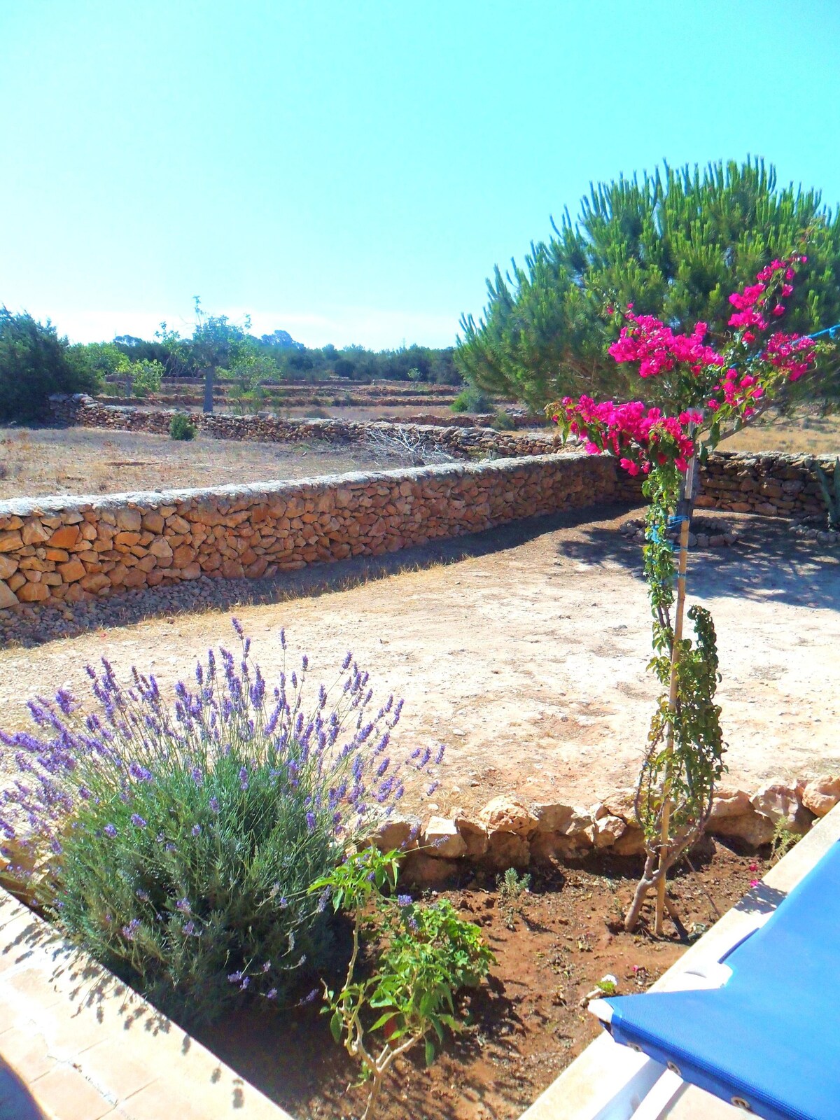 Casita acogedora en el campo