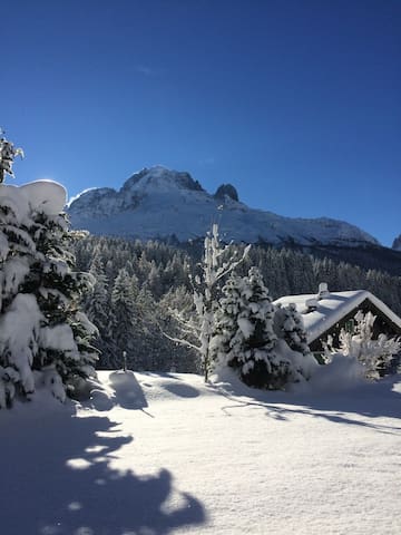 夏蒙尼(Chamonix-Mont-Blanc)的民宿