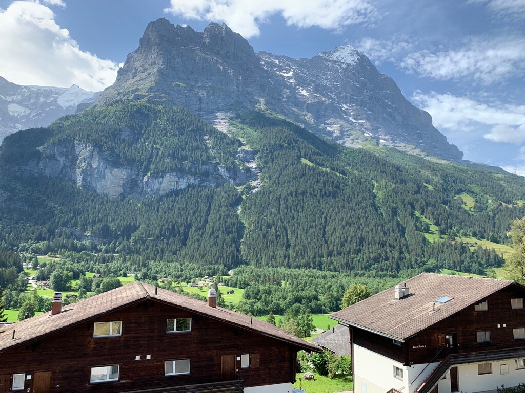 Grindelwald WHG完美的山景观Eiger/Jungfrau