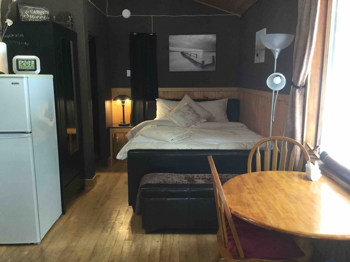 Airbnb Cabin North Shuswap Celista