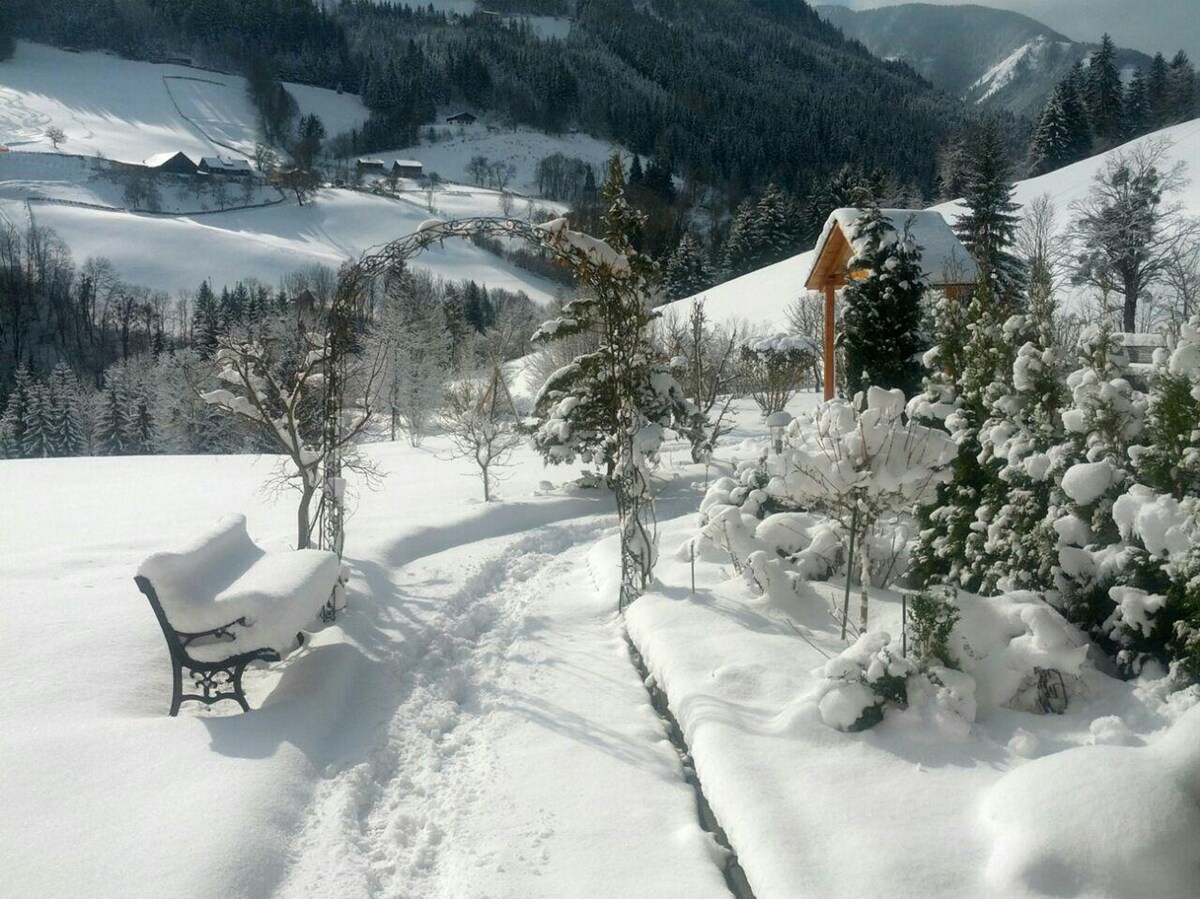 位于滑雪/徒步区的高级公寓