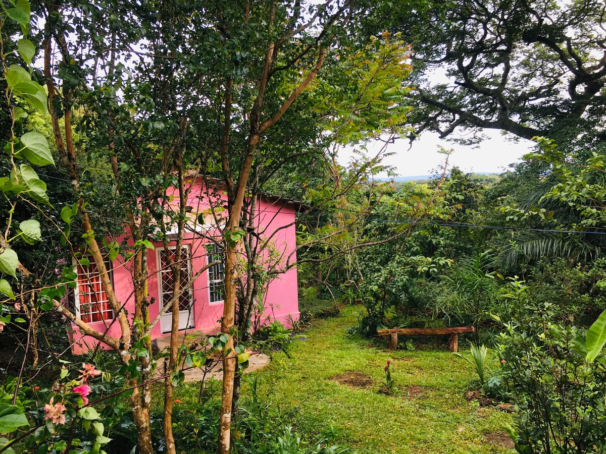 Morada Panapanã
Casa Sumaúma