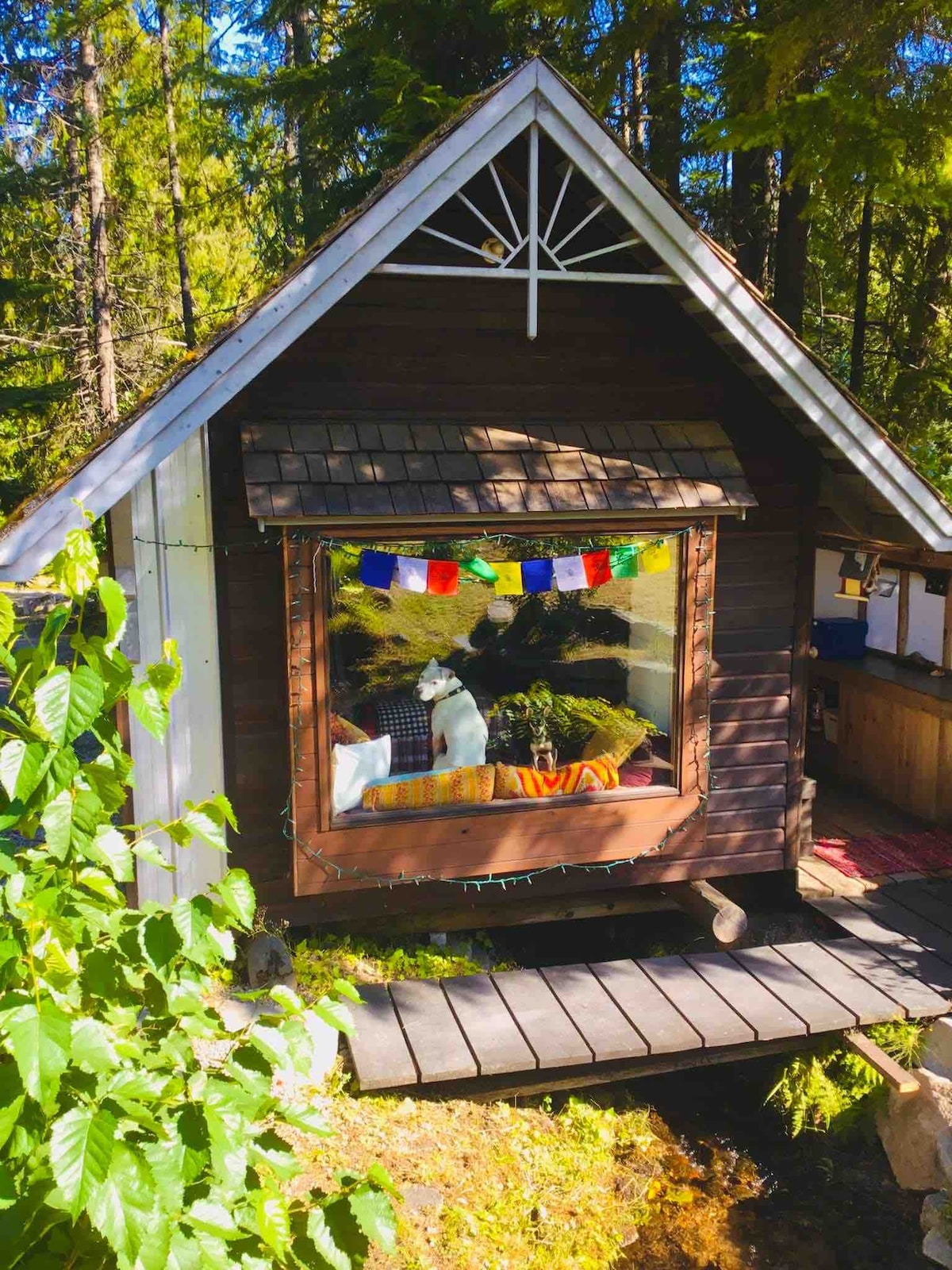 Gnome Creek Cabin