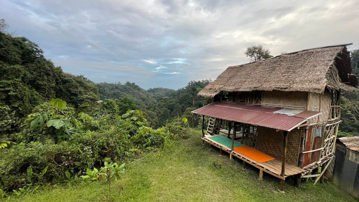 Sumatra orang utan探险和丛林小屋