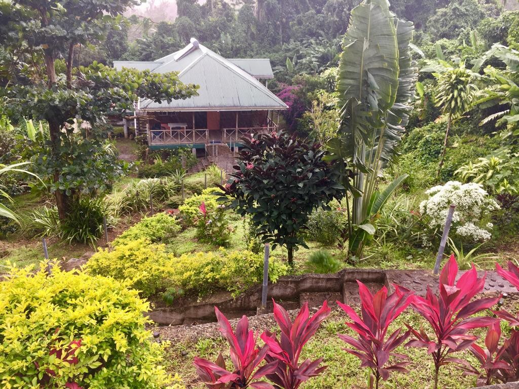 Pineapple Crossing Cottage