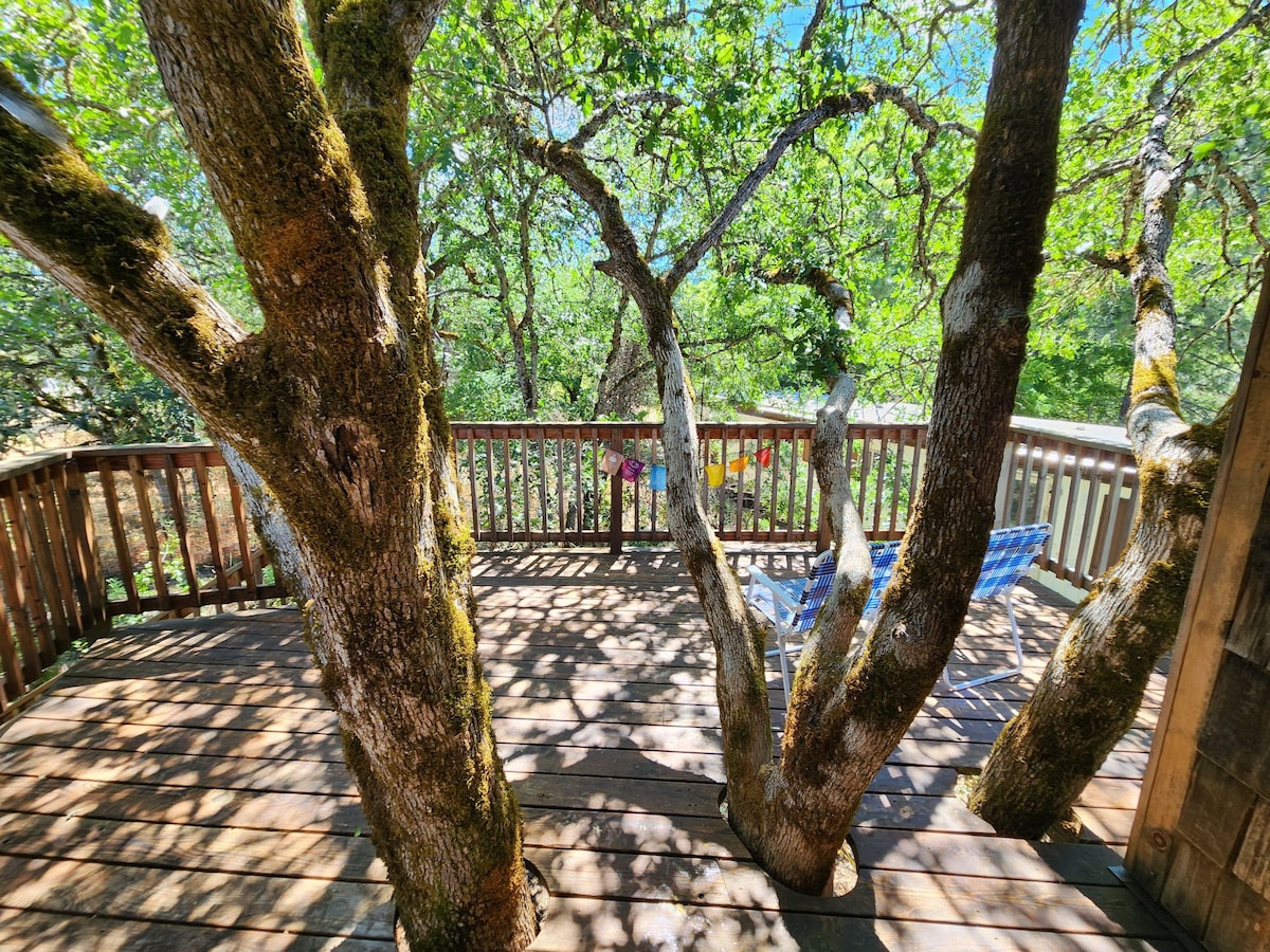 Treehouse, Organic Farm, River