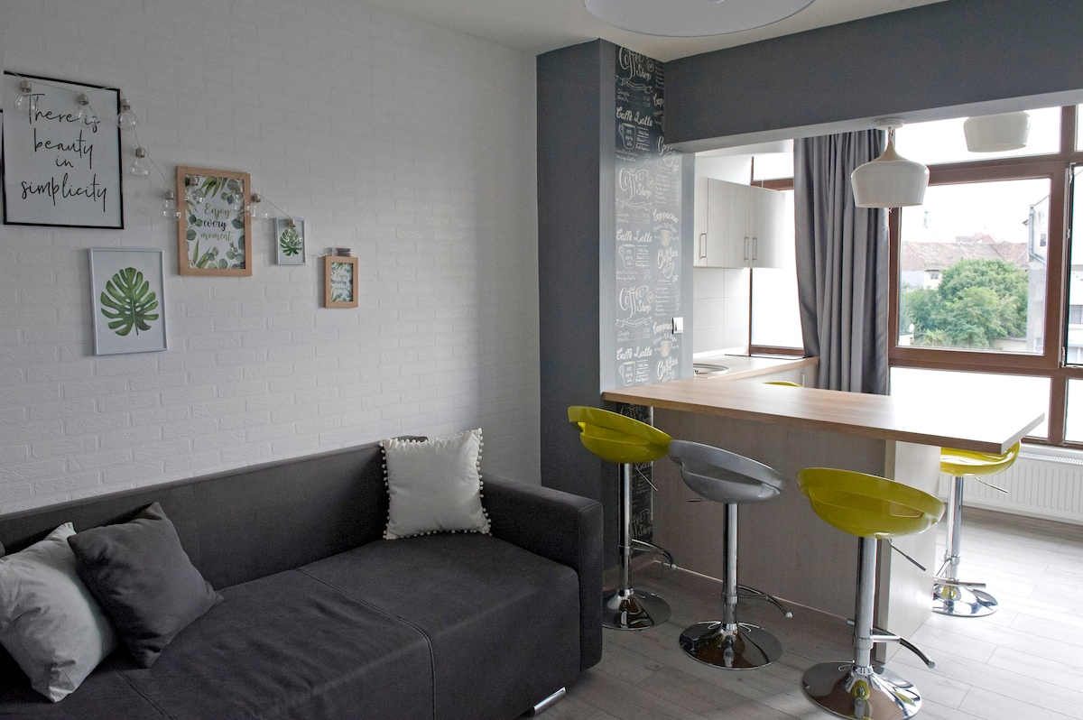 带空调和Pkg的现代设计师公寓- Sibiu Lotus Apts