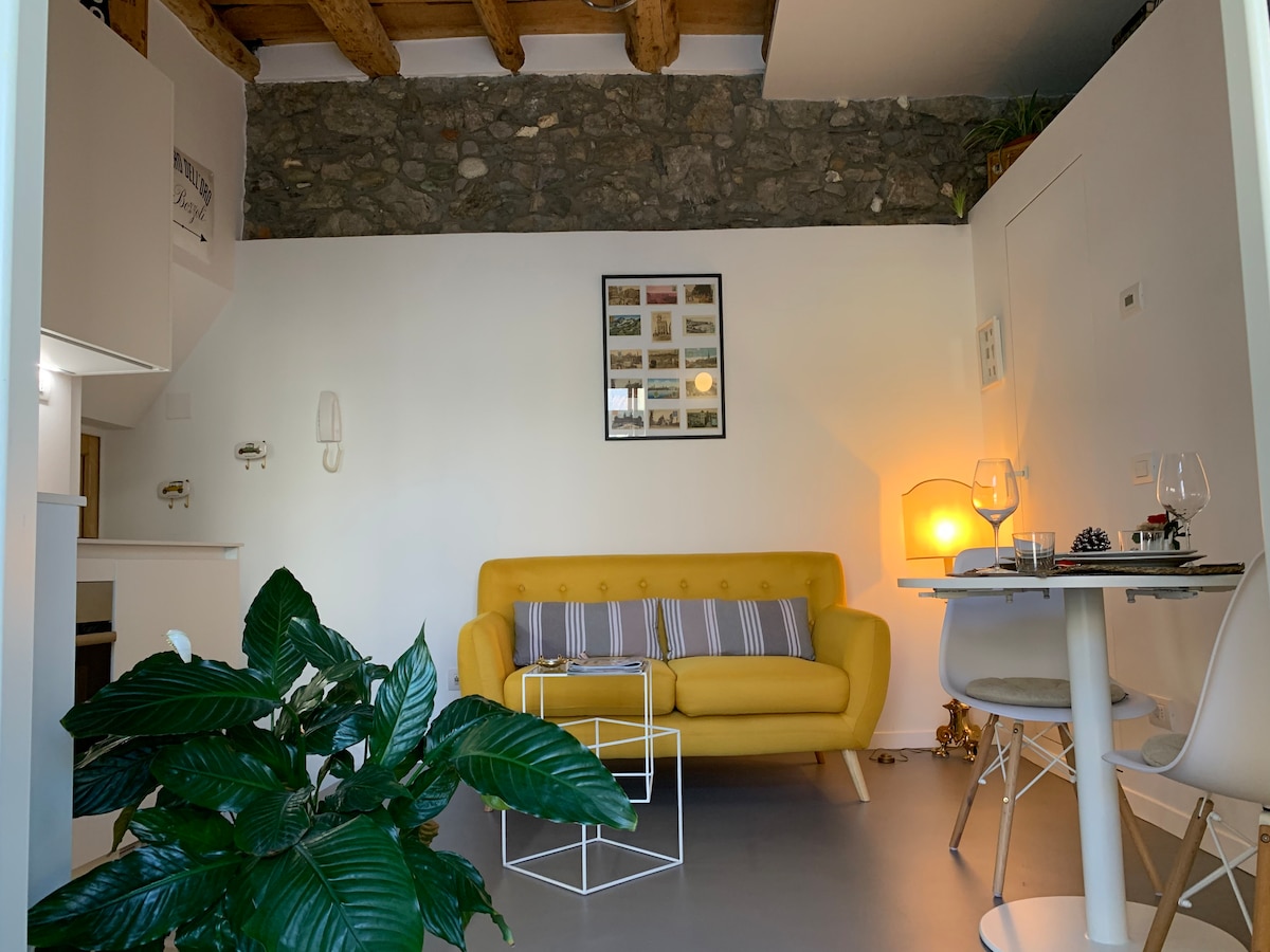 Villa Paola -  Holiday  Apartment - Menaggio