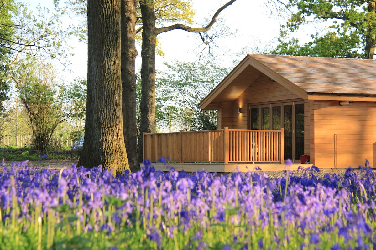 Bluebell Lodge in West Sussex,靠近布莱顿