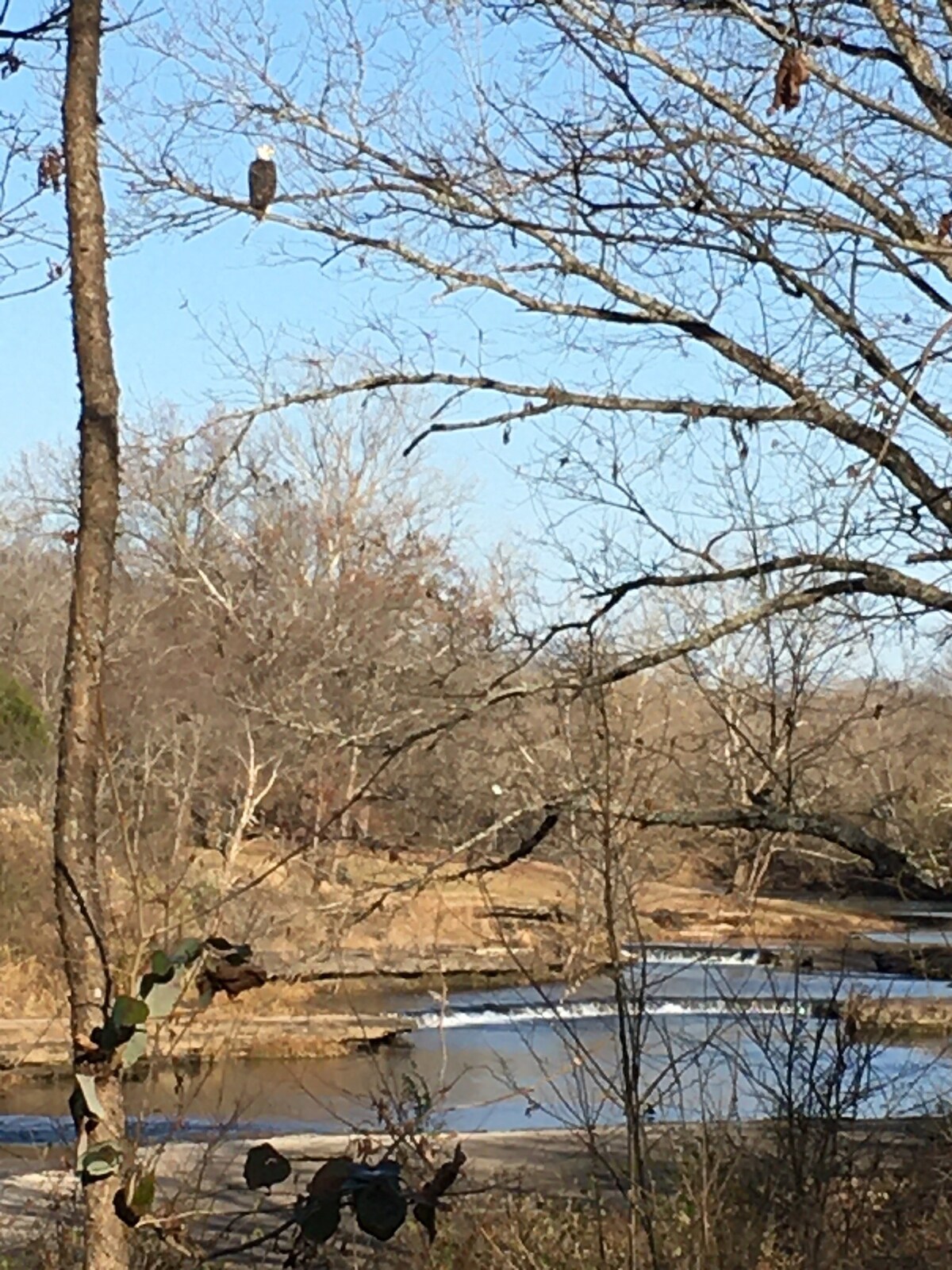 Private cabin w/water access