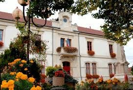 Maison de charme entre montagnes et vignobles