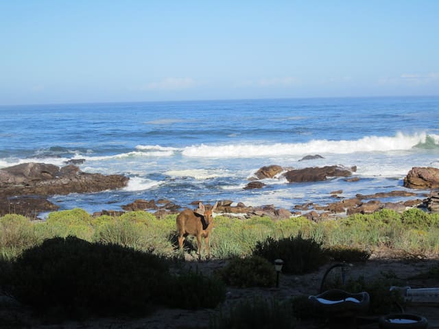 Western Cape的民宿