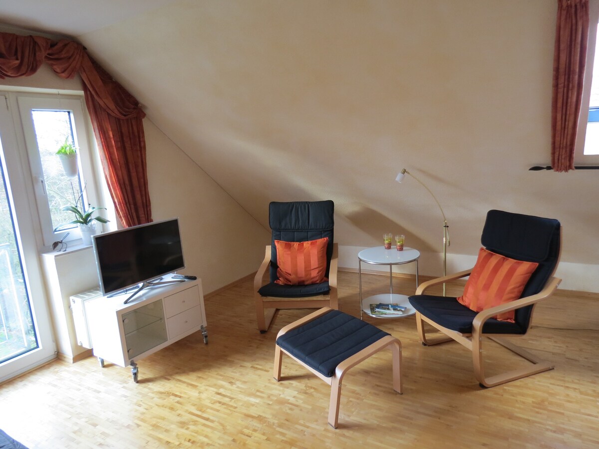 明斯特-汉多夫（ Münster-Handorf ）五彩缤纷、锈色的公寓