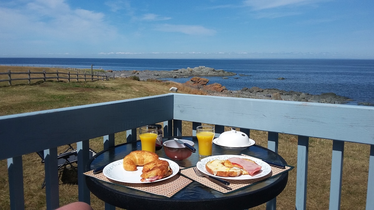 加斯佩半岛（ Gaspé Peninsula ）最美丽的海滨！