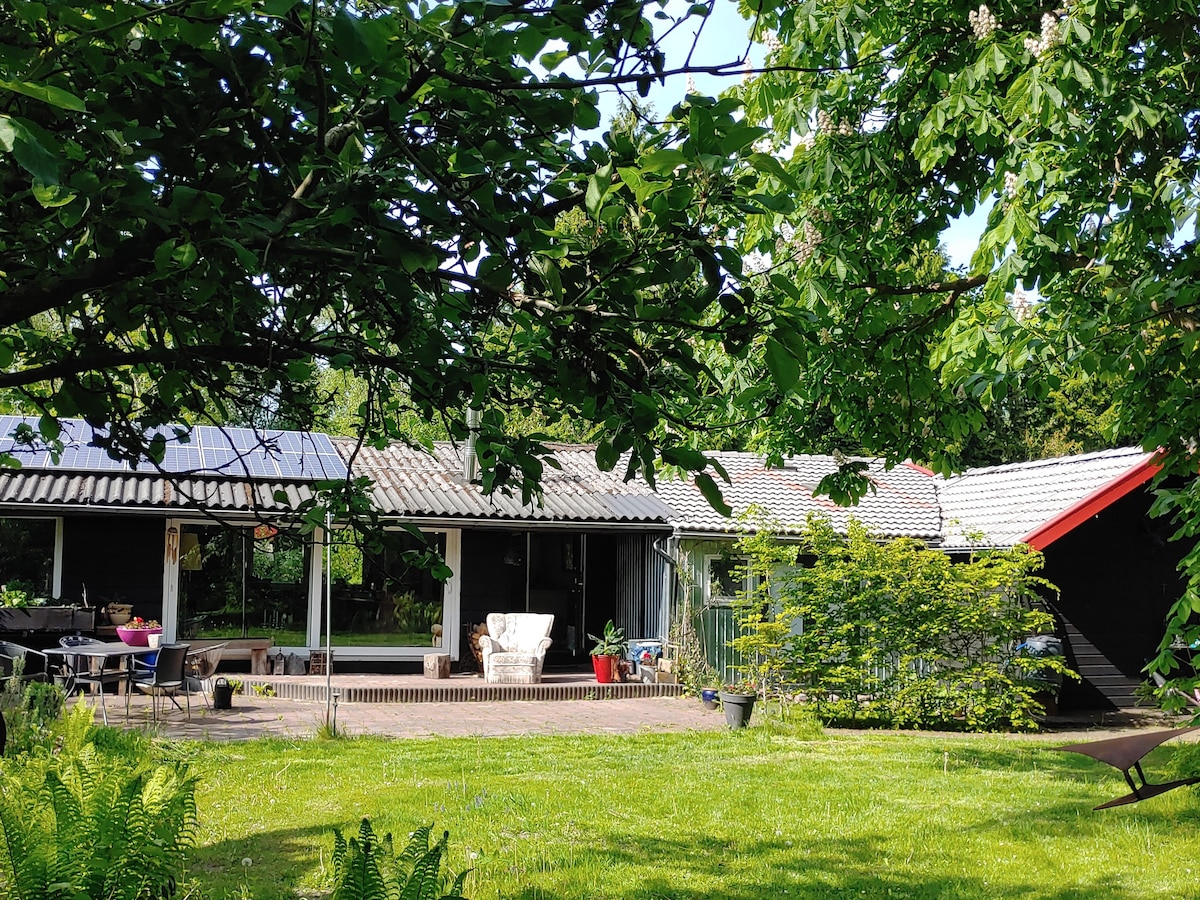 格罗宁根的特别乡村小屋。