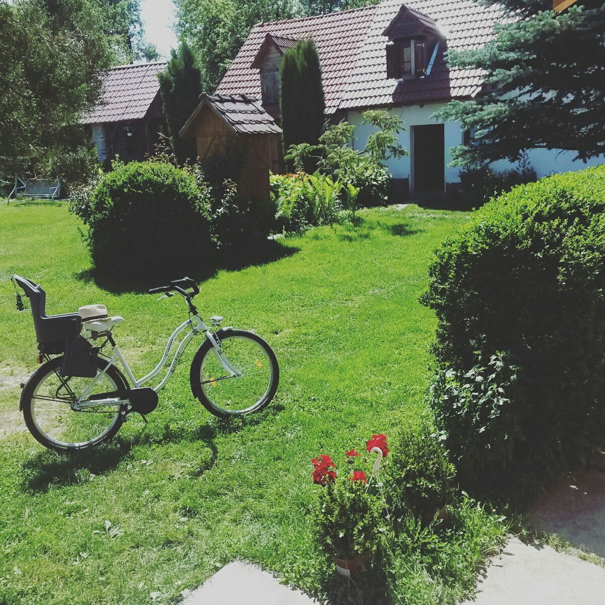 锡比乌附近的Transylvanian客房（免费自行车）