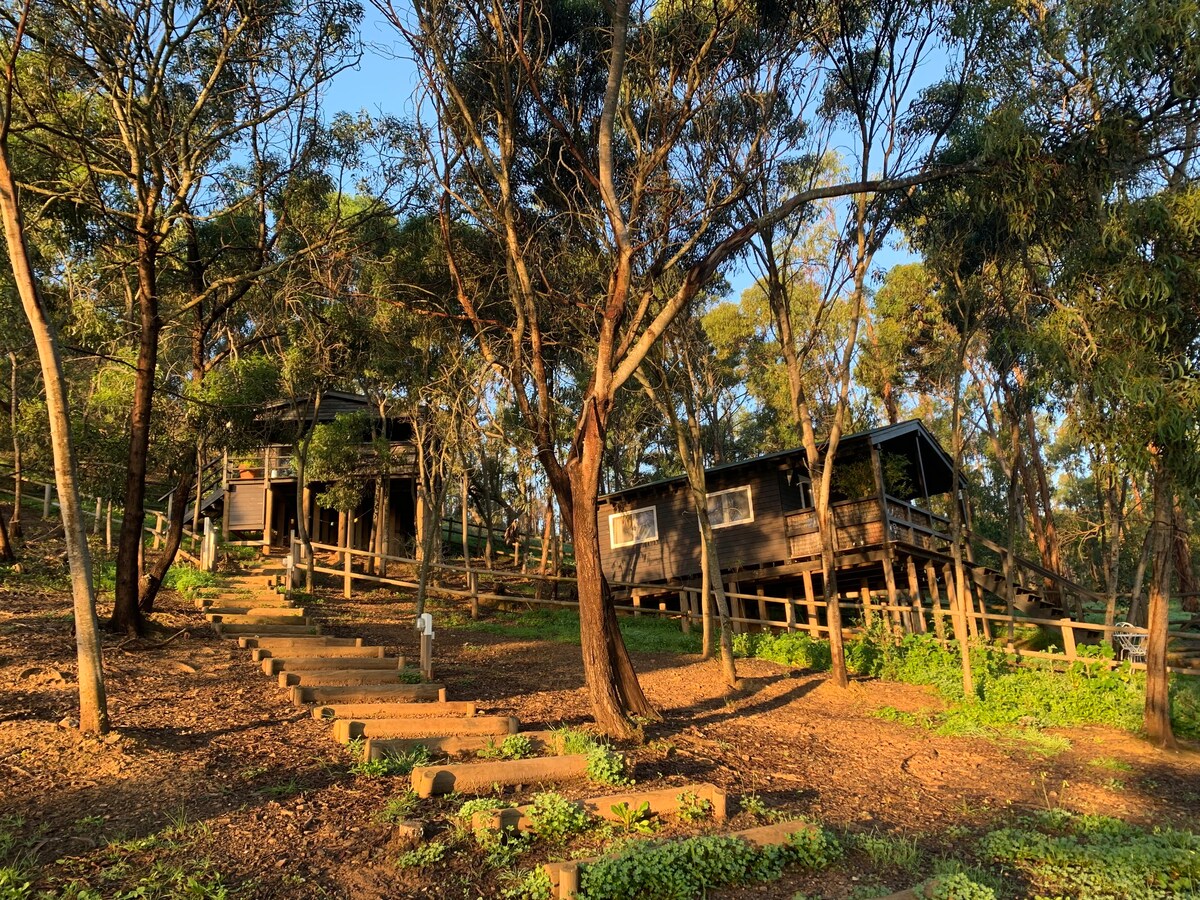 位于Casa eucalyptus 2桩上的一栋乡村木屋