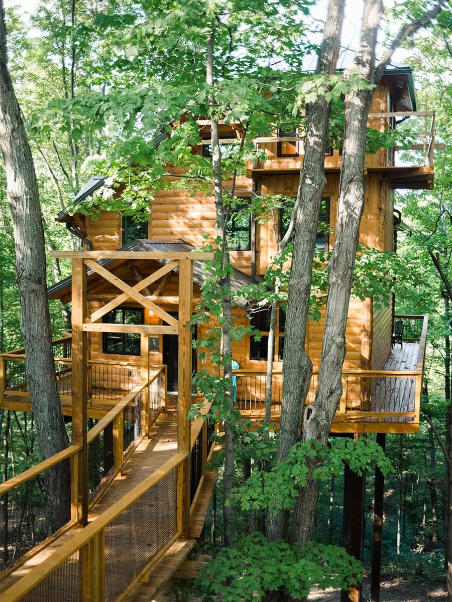 Incredible Treehouse with Breathtaking Views - Sleeps up to 6