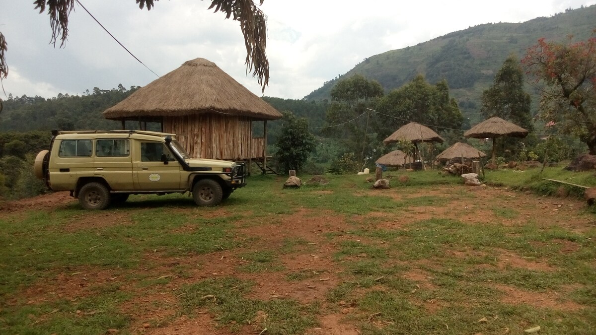 Bwindi nature view campsite