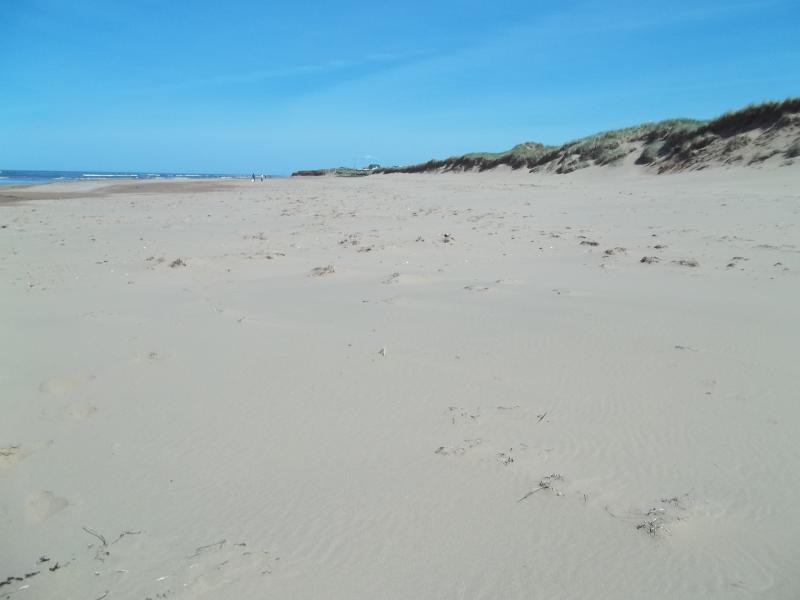 Sandcastles Beach House - Duneside