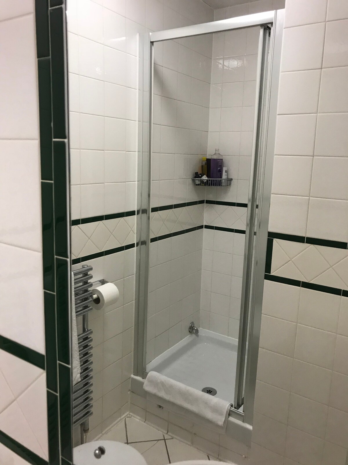 宽敞的Doube客房带独立淋浴间