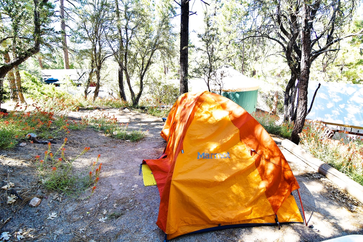 大熊旅舍（ Big Bear Hostel ）的🏕露营地（含湖景） ⛰