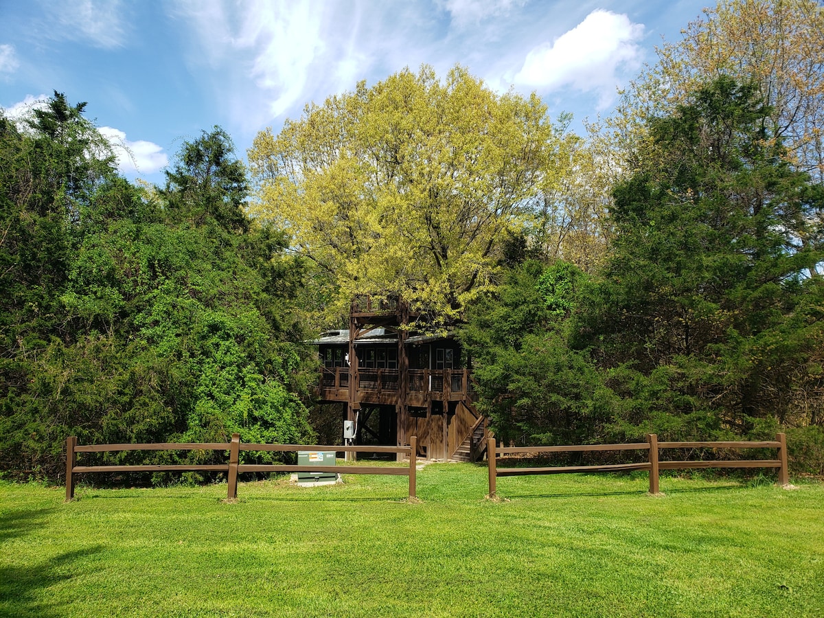 The Treehouse at Wolf Springs