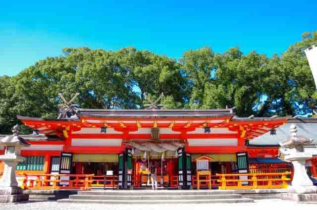 シングウノイエ【貸切】熊野古道　速玉大社　那智の滝　神倉神社　マグロ　和歌山ラーメン　