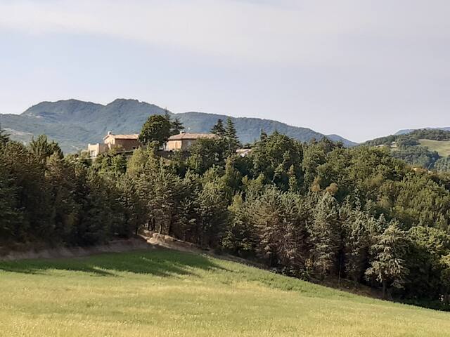 乌尔比诺 (Urbino)的民宿