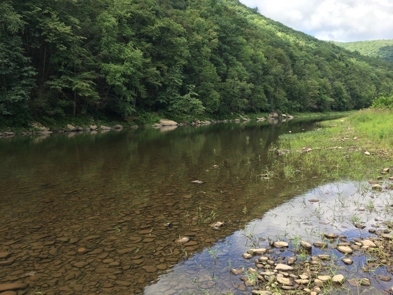 Pine Creek Waterfront Home - Stocked Trout Stream